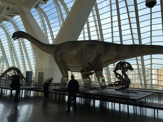 Museo de Ciencias Naturales